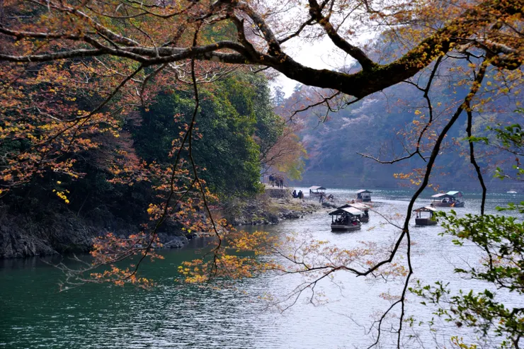 接著往天龍寺去，既不趕早，就好整以暇慢走！此時大堰川上已滿是遊船。