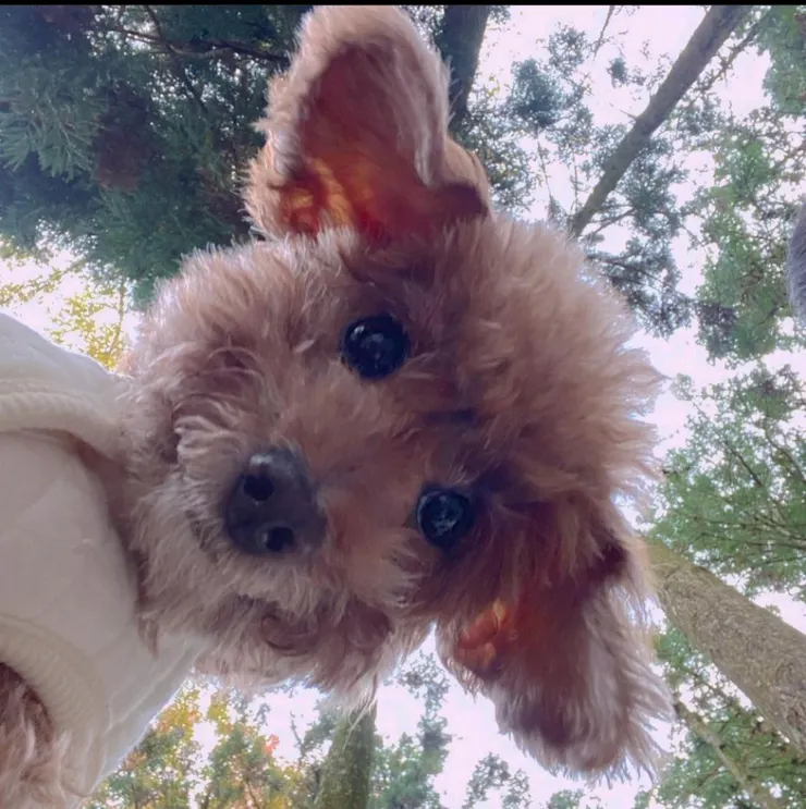 現在多比，超可愛~