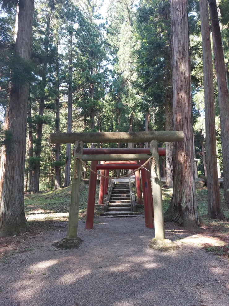 在神社旁邊的鳥居們