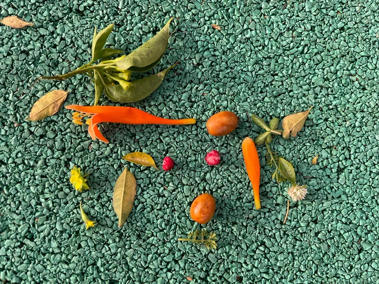 女兒用大自然的素材拼貼的人臉