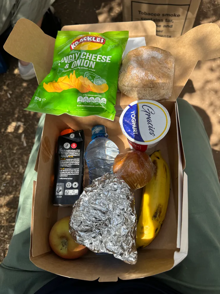 豐富的餐盒,只是食物都很乾,最好吃的是香蕉