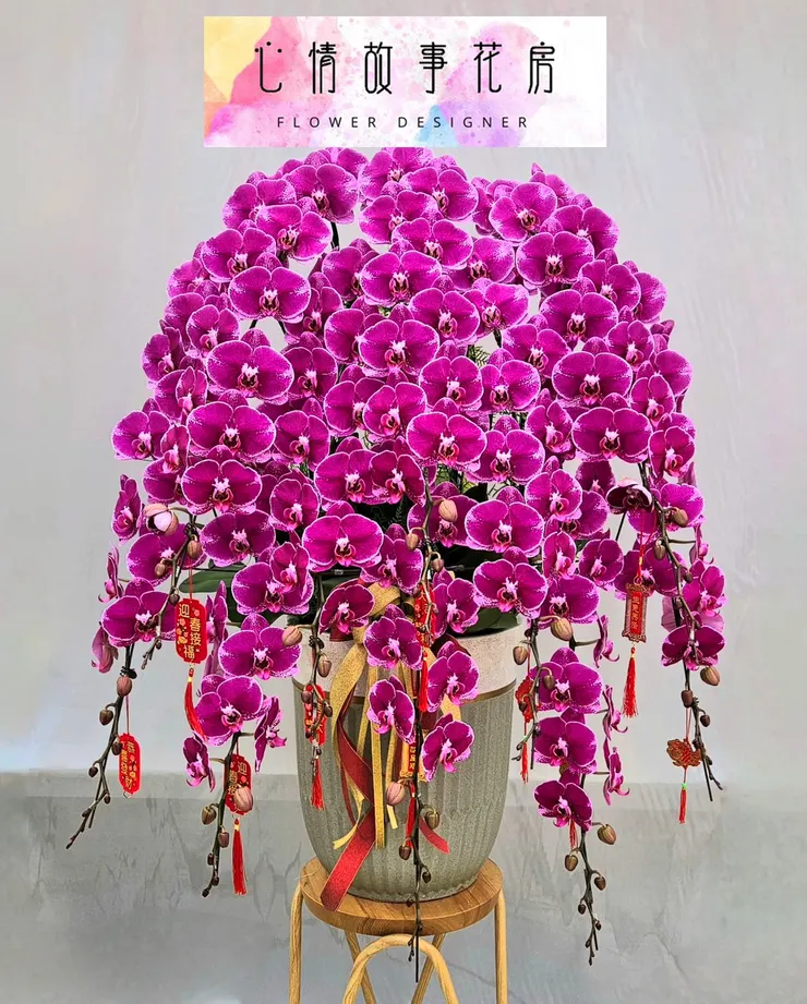 台南心情故事花房｜長花梗高級蘭花正式進軍送禮市場，為高級場所與尊貴人士打造專屬花藝禮品