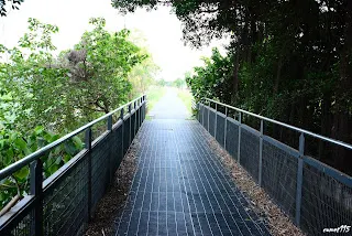 埤麻大排橋(斗南線)-往斗南方向拍