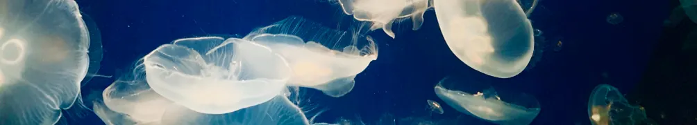 在家打卡的沙龍