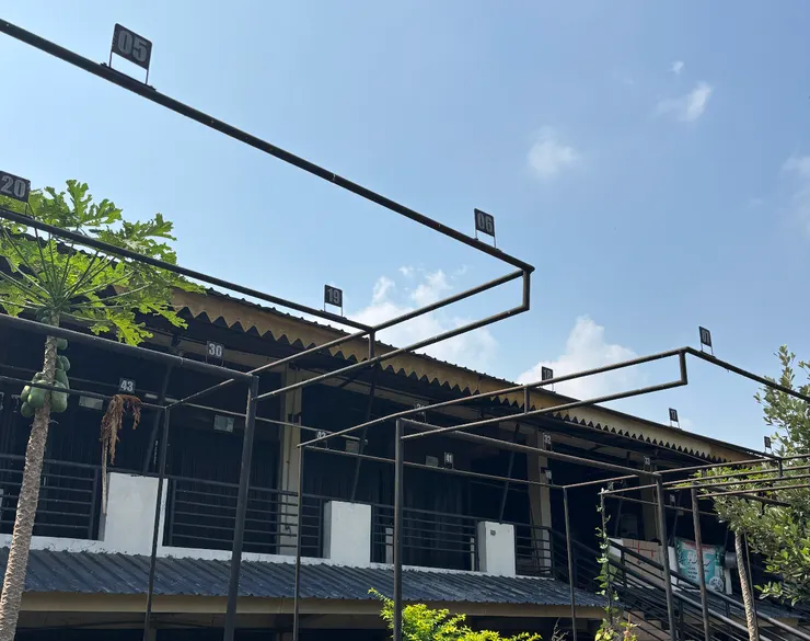 鳥叫比賽用的架子