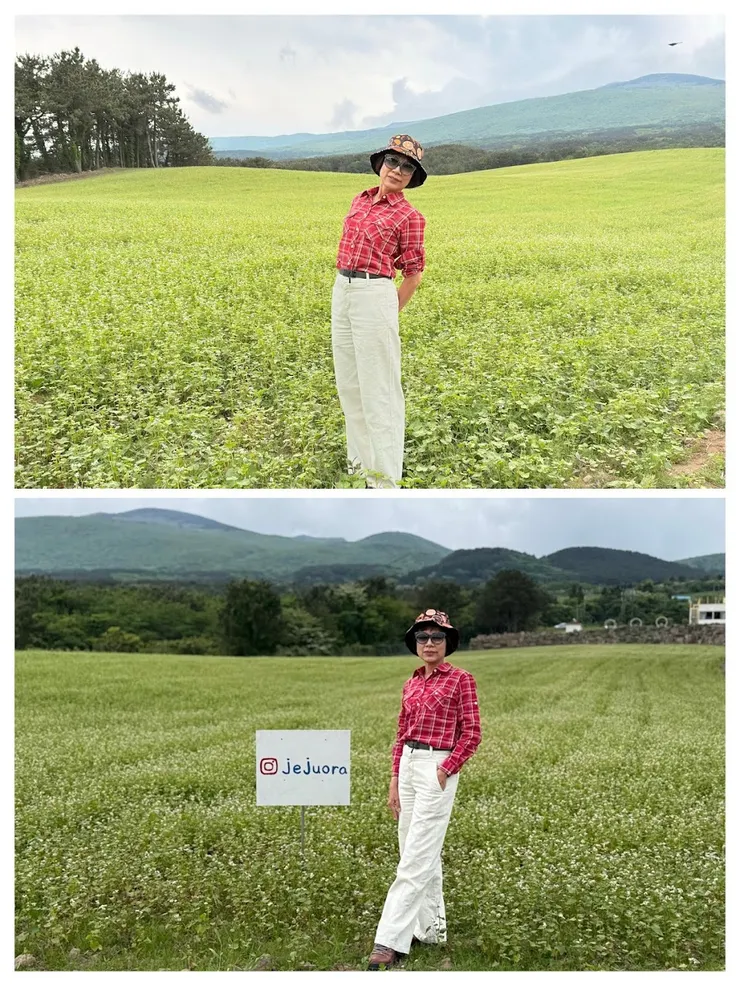 打卡點有高山當背景的蕎麥花田