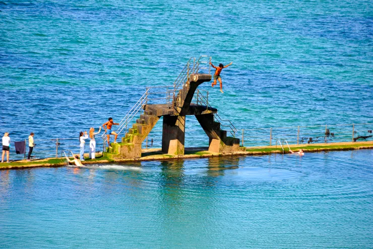 【沿沙灘遊人戲水遛狗散步閒坐】