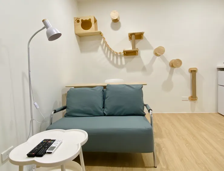 ▲ 《 Suki na room 》NO.6｜貓宅套房 501 室