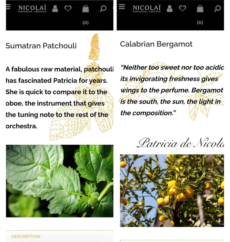 宮娥使用蘇門達臘的廣藿香 & 義大利carabrian島的佛手柑 (來源:官網)