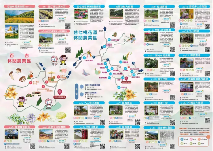▲圖片來源：農業易遊網「2025花現台七 繡球金針農遊趣」