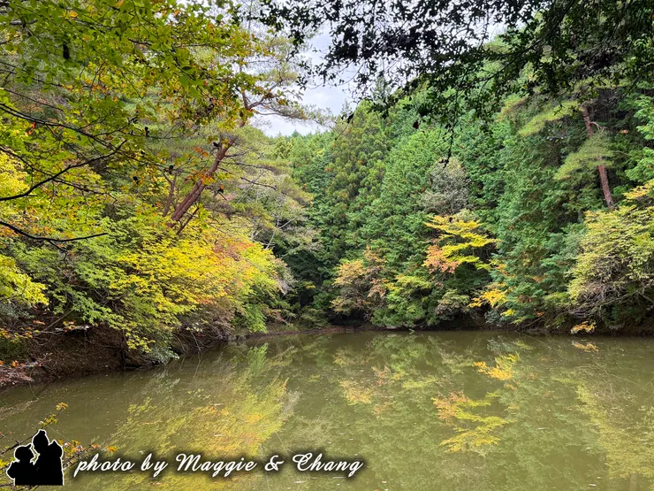 高原池如鏡子的倒影，是中邊路人氣打卡點。