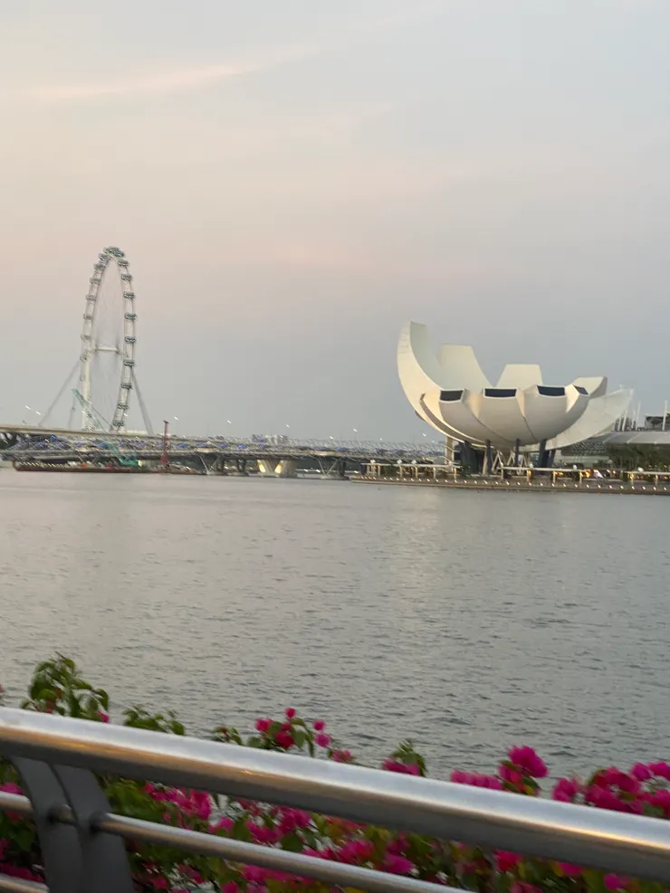 公園對岸的藝術科學博物館