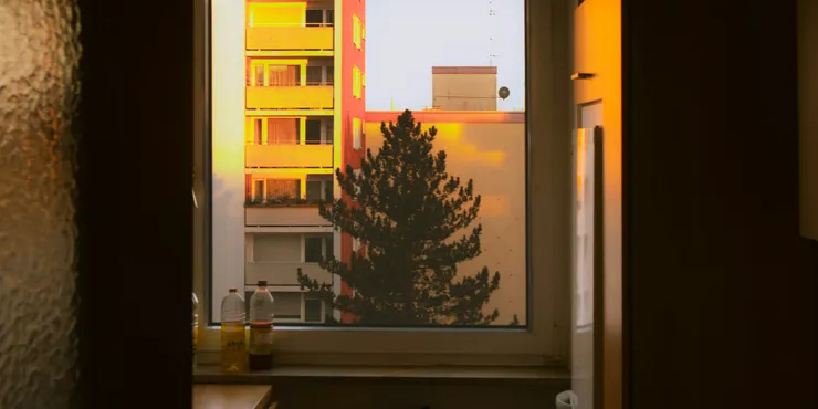 photo credit:  Marko Lengyel