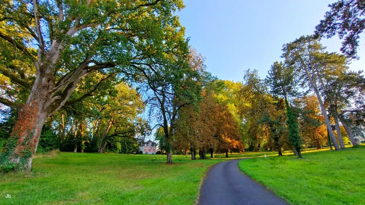 【腹地廣袤，且碧草如茵、巨樹成蔭，我們可自由漫步其間。】