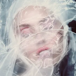 圖片來源:Wikipedia 維基百科