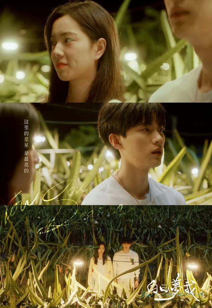 當地上的光亮起時，真的超美！