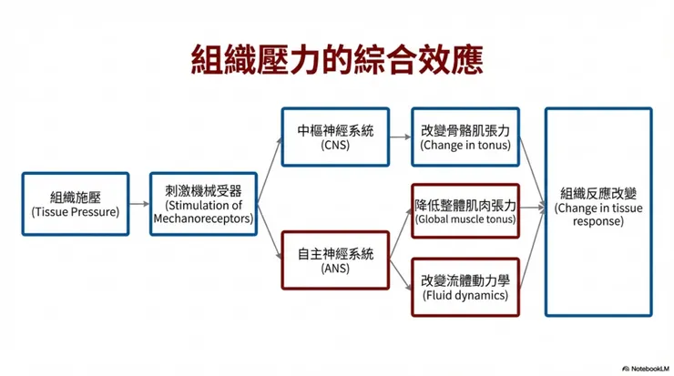 組織壓力的綜合效應