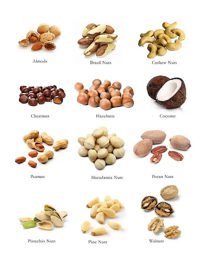 【附圖.2：幾種 nut 的影像，字尾 s 爲「複數」或「豆子」、「果子」的「子」字之表示。(圖片編採自網路)】