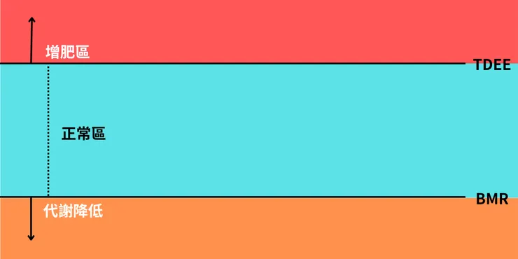 BMR & TDEE的正確落點 (帝亞精品)