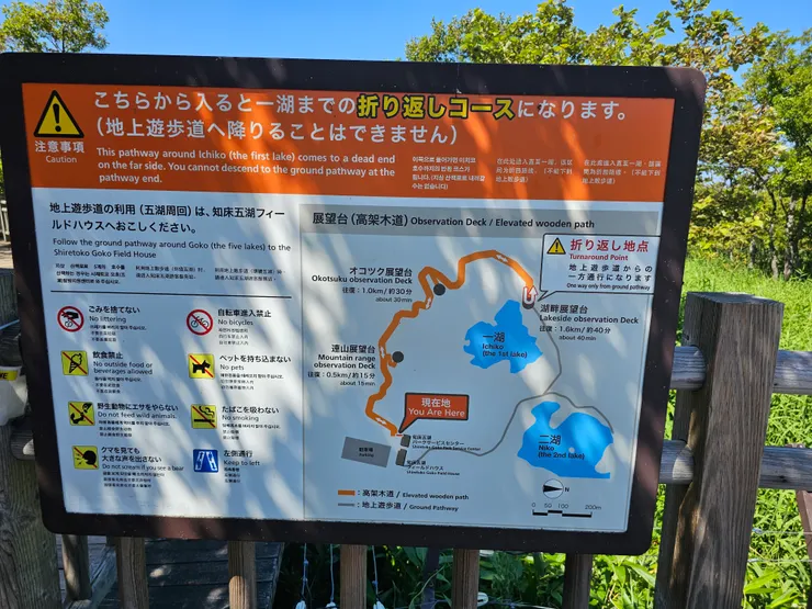 知床五湖木棧道路線