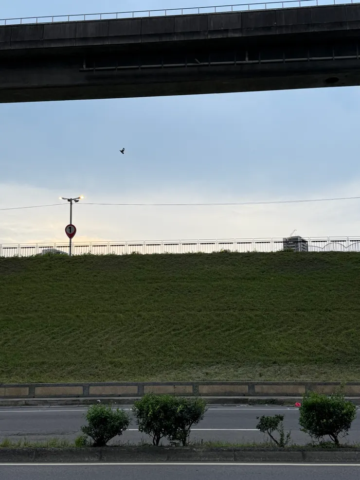 2026/05/12 下班風景
