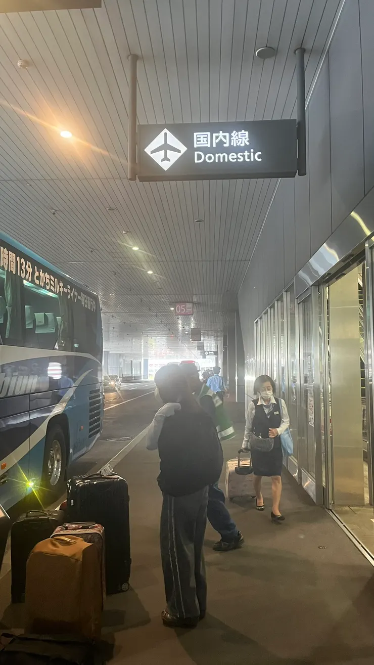 在國內線下客處下車。