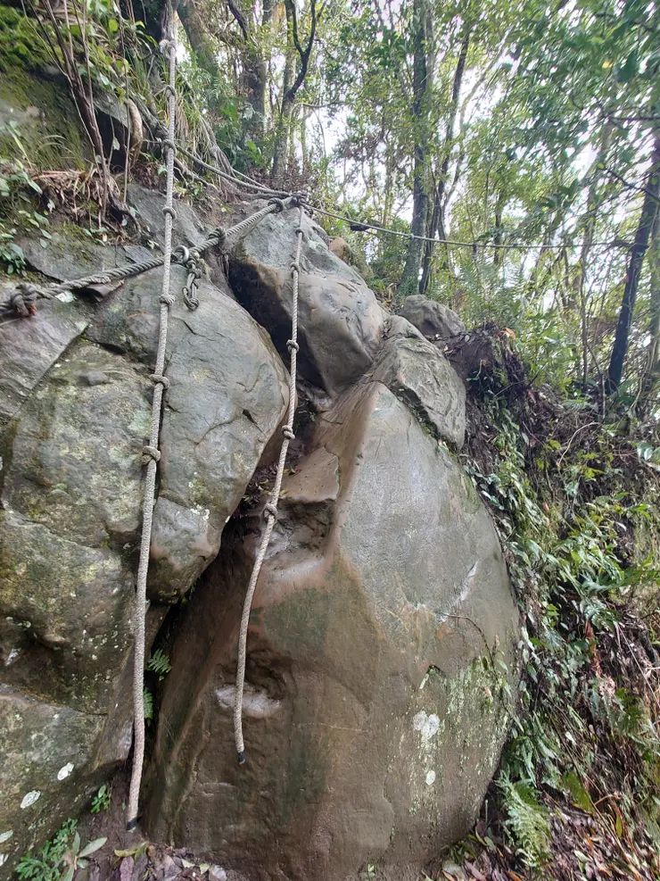 剛才那群陌生人從這片峭壁上攀，我和榕榕是下切