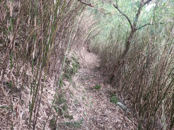 高速公路，好走