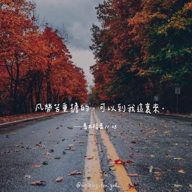 圖源：pexels  字體：莫莫然
