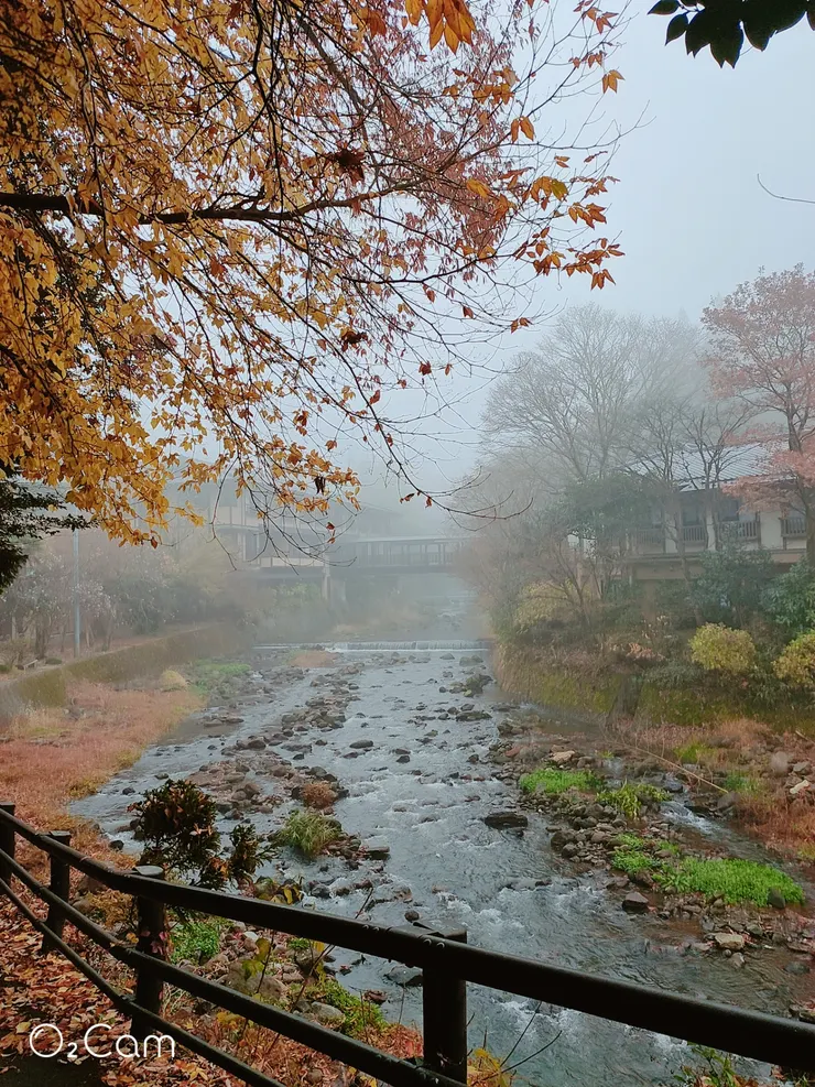 進入黑川溫泉街前的迷霧森林小鎮
