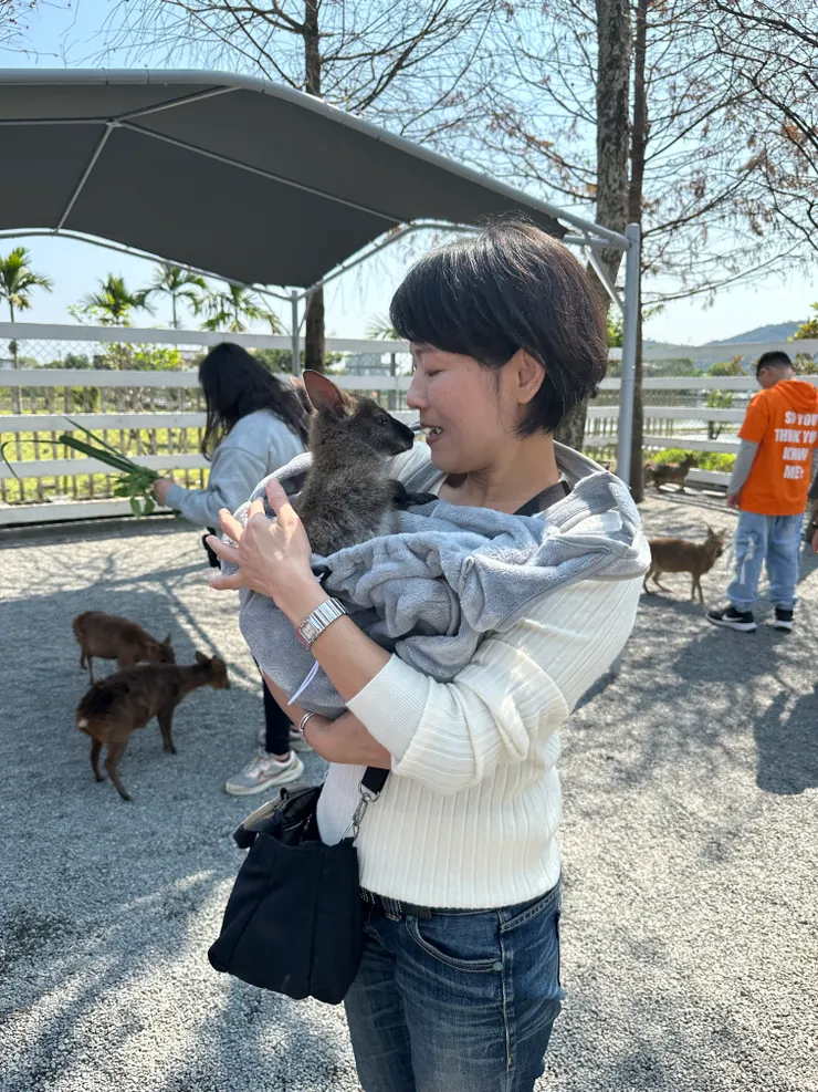 遊客背著袋鼠寶寶直呼可愛。(攝影/蔡佩真)