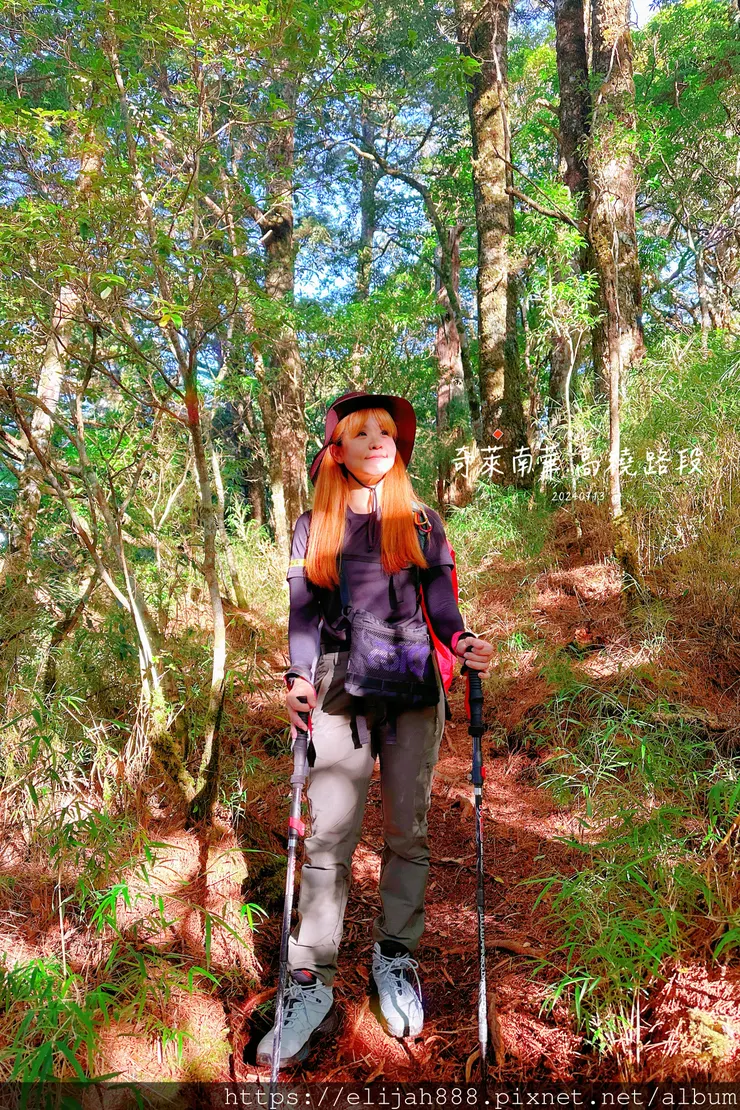 【2024夏。高繞上奇萊南華2天1夜】雲天宮出發高繞路線4.