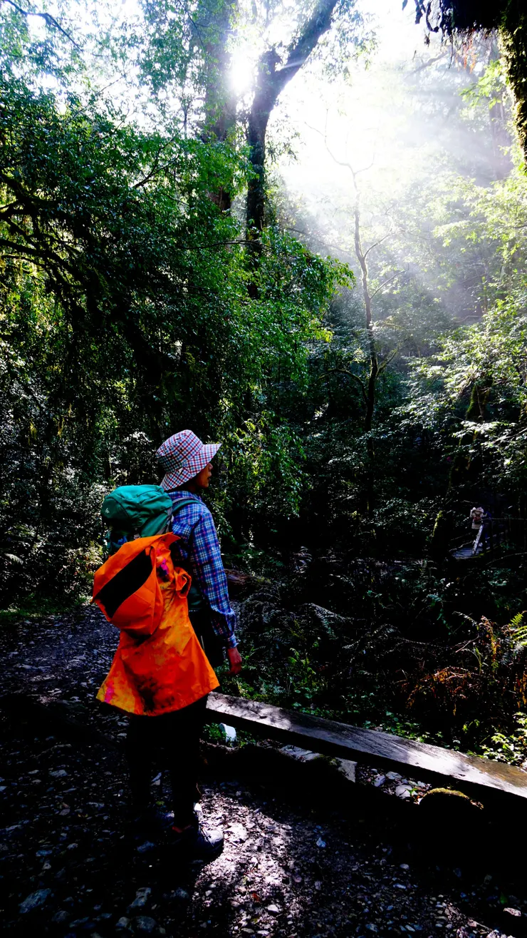 休息一下吸收日光的能量