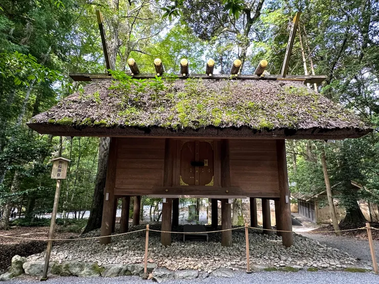 神宮內的設施都可以看到種子掉落在屋頂的檜皮長出新苗的畫面