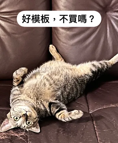 第一次上架數位商品，幫馬嚕賺點罐罐錢