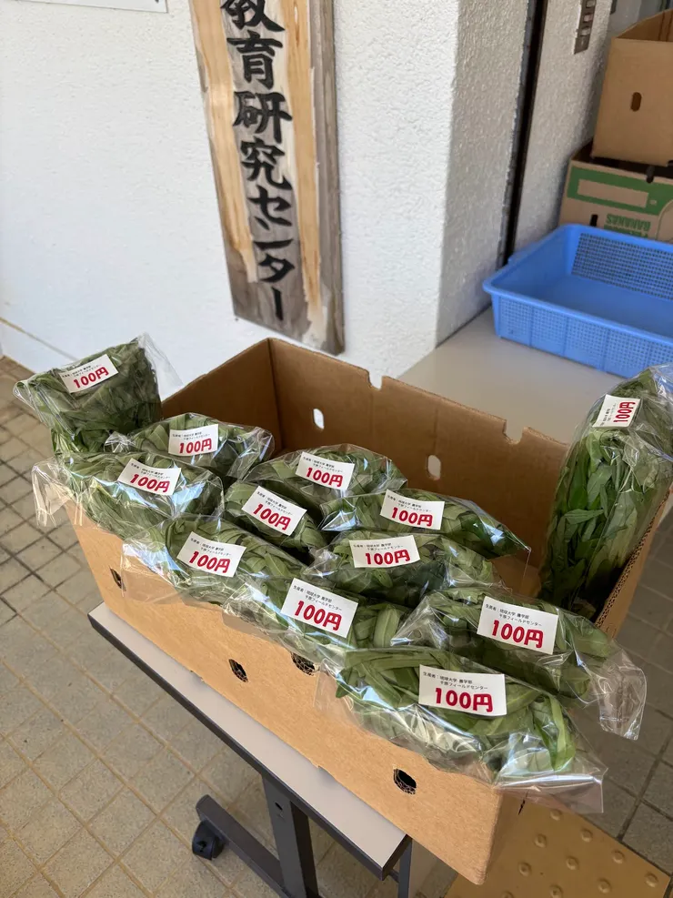 一百元的空心菜 小確幸～～