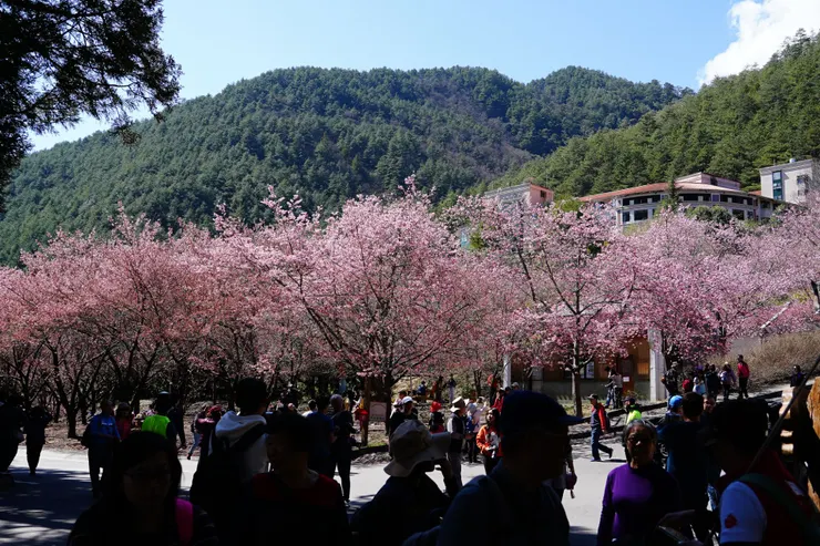 轉運站前