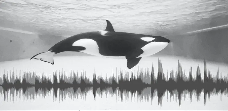 图片来源:unsplash与自制