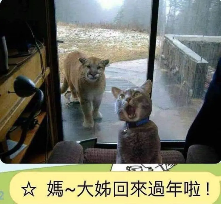 切記!!  幽默感超重要的!!  https://tslv.pixnet.net/blog