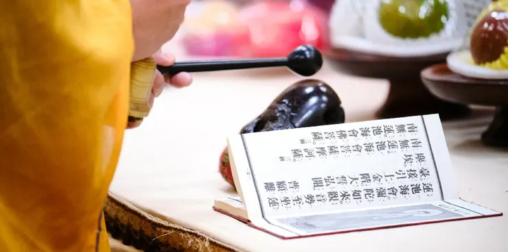 金麟生命 / 版權所有