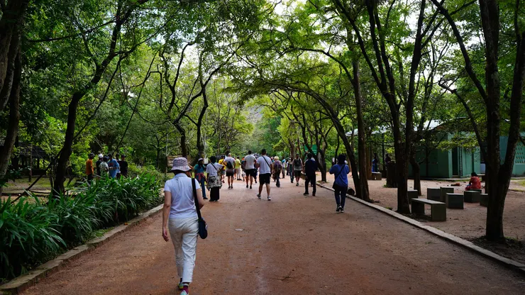 停車後步行往園區，花木扶疏很舒服。