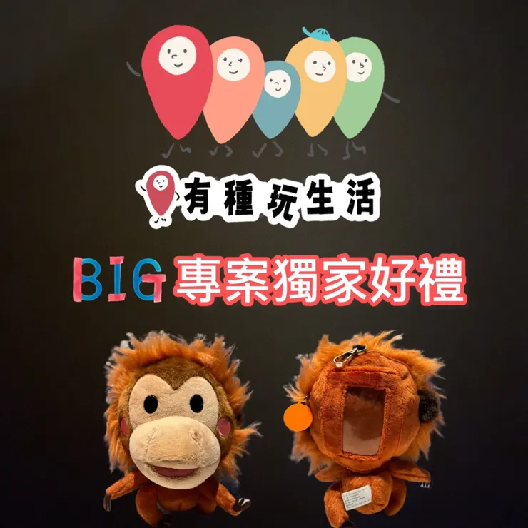 BIG猩猩娃娃（悠遊卡套）