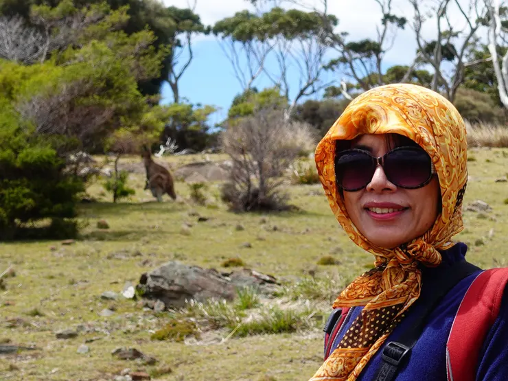 天氣熱了~袋數躲樹下乘涼