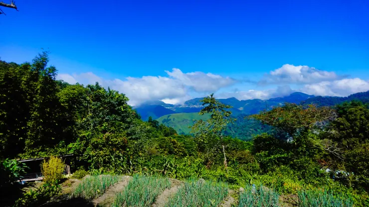 對面大概是二延坪