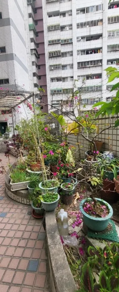 圍牆外，有個中型私人停車場  (李建崑攝影)