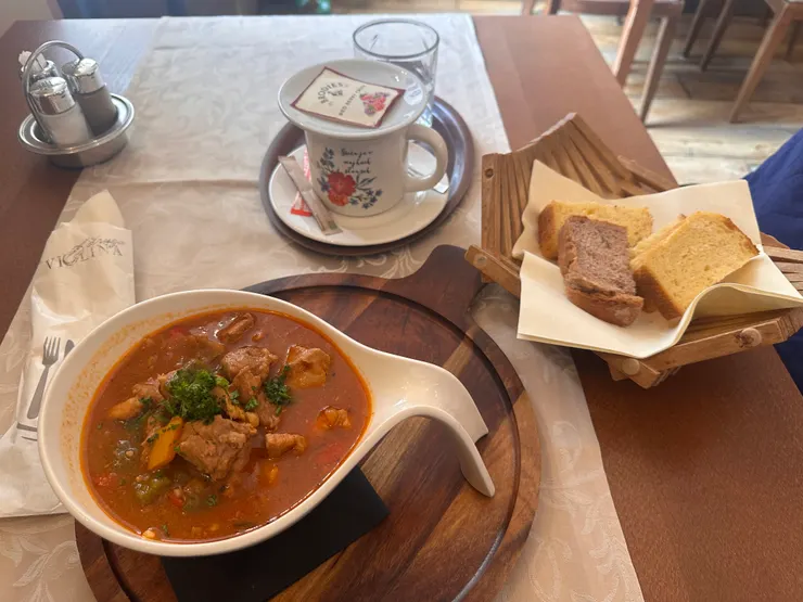 斯洛維尼亞首都：盧布爾雅那舊城區-我的午餐！