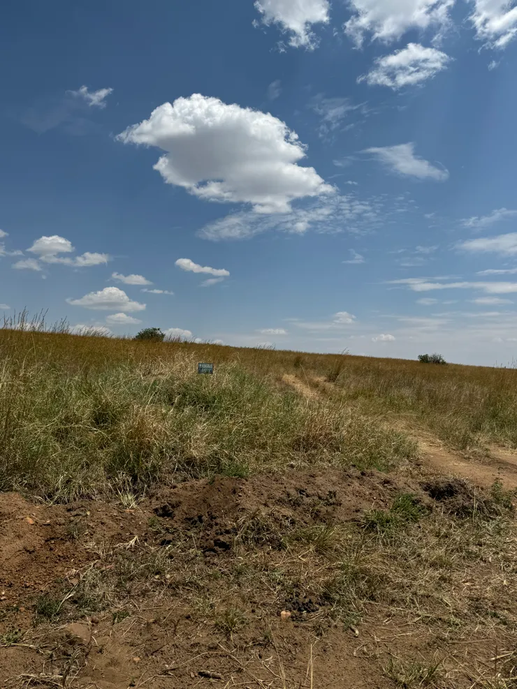 很小很小的牌子,Rangers only (綠底)