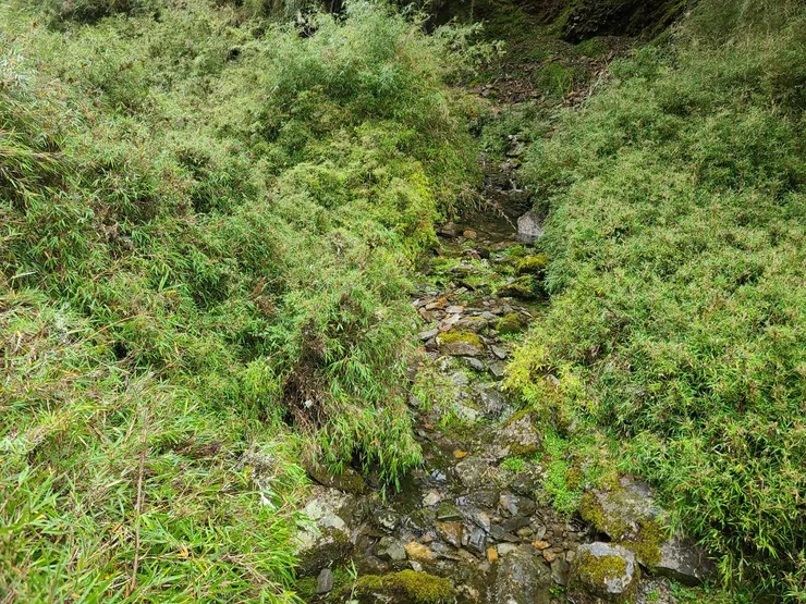入口跟到小溪溝，沿著走