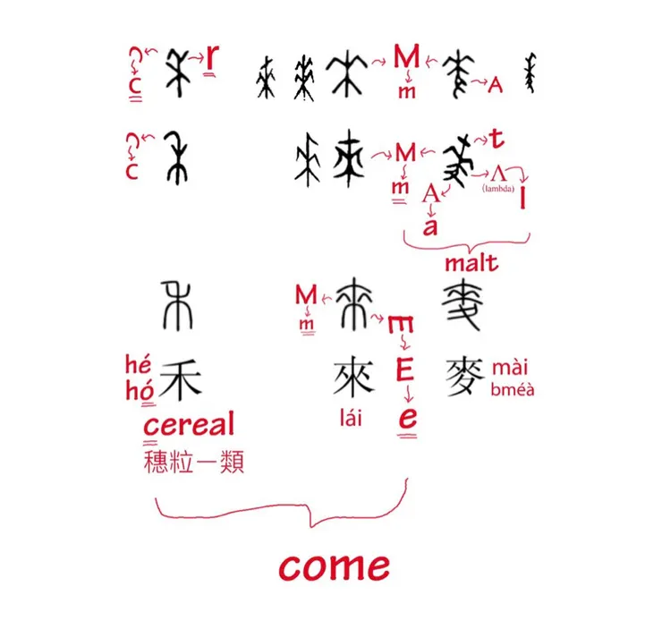 【附圖:「禾、來、麥」字形演化及 come 與「禾麥」或「來」的轉換密碼】