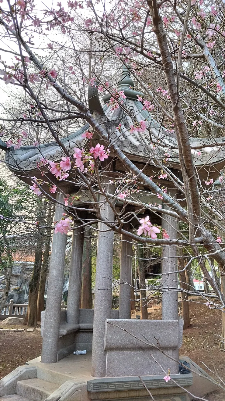 3/8照片